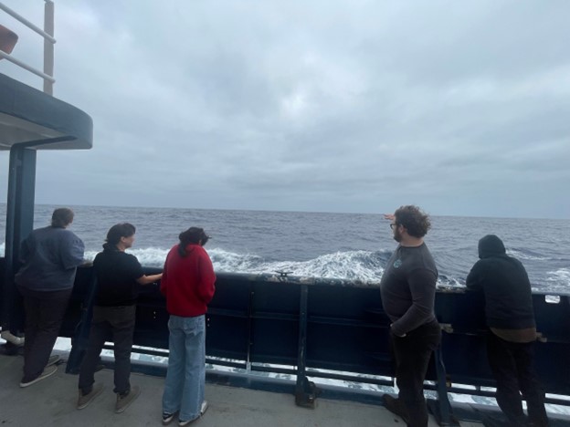 Scientists look over the starboard rail
