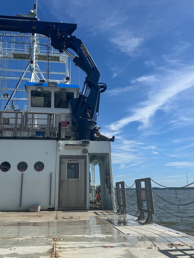 student sitting on top of the ship lab's roof