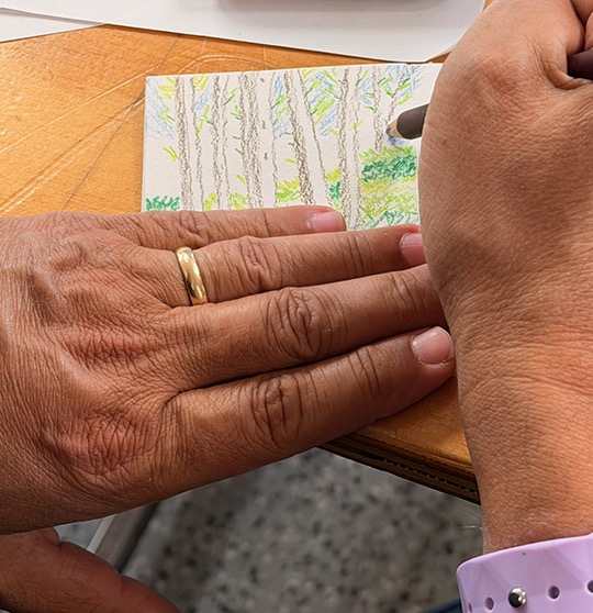 Anil's hands drawing a forest