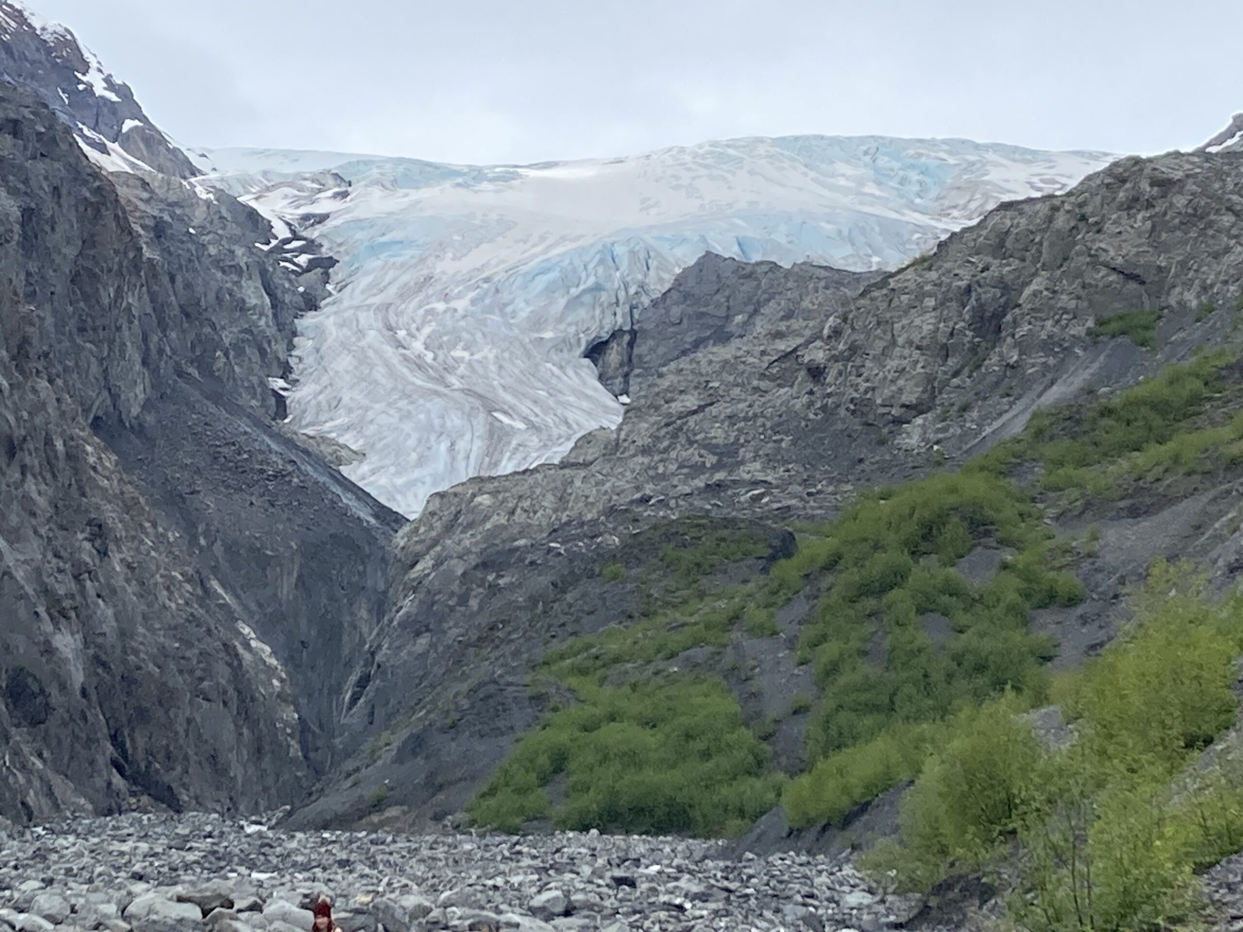 exit glacier from the outwash plains